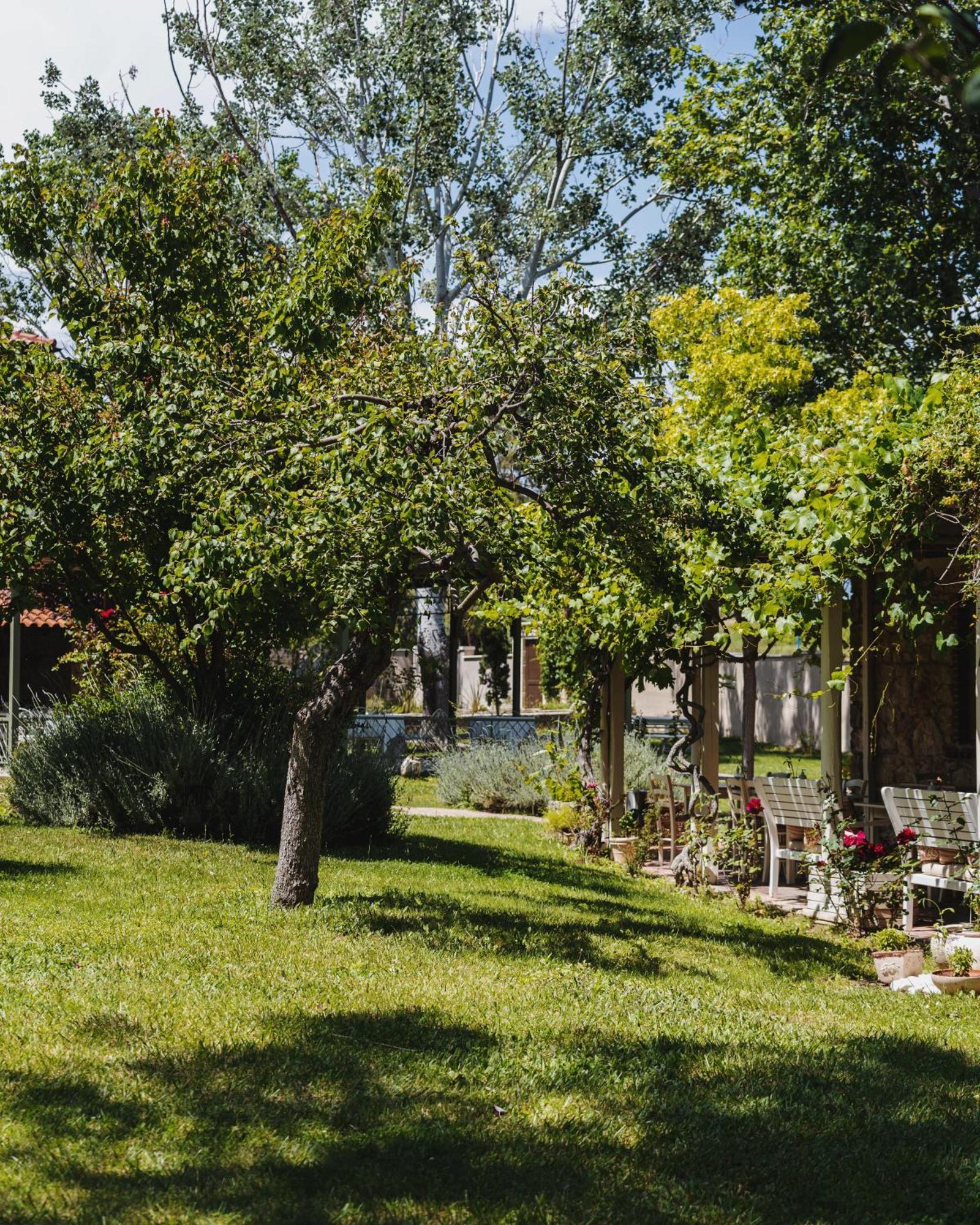 Petrino Eco Village Афитос Экстерьер фото